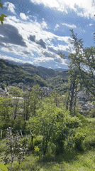 Kittens and dog enjoy quiet afternoon in Bulgarian hillside town