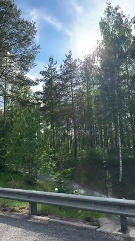 The video shows a bright, sunny daytime drive through a forest, likely in Imatra, Finland, given the provided context. The camera is positioned inside a moving vehicle, looking out towards the side of the road. Tall pine trees with dark green needles and thinner birch trees with light green leaves line the roadside. The sun shines brightly, causing significant lens flare as it peeks through the tree canopy. A metal guardrail runs alongside the road in the foreground. The ground is covered with green grass and some dirt. The overall impression is one of a serene, natural environment on a clear day. No people or text are visible.