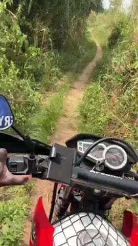 The video shows a first-person perspective of someone riding a red and black motorcycle down a narrow dirt path through a field. The rider's hands are visible on the handlebars, and the motorcycle's dashboard is in the foreground. The path is surrounded by green grass and bushes.