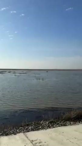 The video shows a wide expanse of water under a clear blue sky with scattered white clouds. The sun is visible, reflecting brightly on the water's surface. The water appears calm with small waves. There are patches of vegetation sticking out from the water, creating a marsh-like environment. The foreground consists of a concrete surface with a dark, muddy bank and some rocks.  The camera slowly pans upwards, focusing on the water and sky. There are no people visible in the scene.