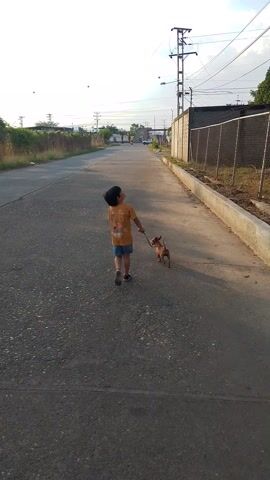 The video shows a young boy walking a small dog on a leash down a paved road. The boy is wearing an orange t-shirt and blue shorts. The dog is brown and running to keep up with the boy. There is a fence and some vegetation on the side of the road. Overhead power lines can be seen in the background. The camera seems to be held at a slight angle, rotated.