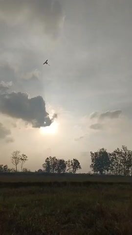 A low-angle shot of a kite flying in the sky during what appears to be sunset. The sun is partially obscured by clouds, casting a soft glow. Silhouetted trees line the horizon. The camera is positioned in a field of grass. The kite is a small, dark object against the bright sky, and it is tethered to a string which is not visible. The kite is in motion, implying it is being flown. The scene is serene and tranquil, evoking a sense of calm and nostalgia. The video is 4 seconds long.