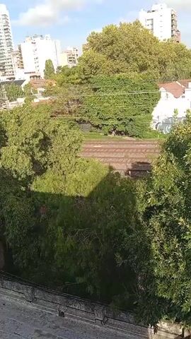 The video shows an elevated view looking out over a neighborhood with dense green trees and vegetation in the foreground. In the midground, a set of train tracks runs horizontally across the scene, surrounded by more greenery. Beyond the tracks, a residential area is visible with buildings of varying heights, including some tall, white apartment buildings. The sky is partly cloudy, suggesting a bright day. The camera appears stationary, capturing the scene from a height, potentially from a building or balcony.