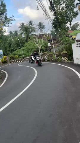 This is a vertical video shot on a winding road with lush green trees and palm trees on either side. The road is paved and has white lane markings. The sky is cloudy. In the foreground, a person on a black and white scooter is riding towards the camera. They are wearing a black helmet and a blue and red jacket. Further up the road, another person on a black scooter is visible, also riding towards the camera. Behind them, on the left side of the road, a person on a blue and black motorcycle is seen. The person on the motorcycle is wearing a black jacket and a black helmet. In the background, there is a traditional Balinese building with intricate stonework and carvings, suggesting a temple or a historical site. The overall scene depicts a group of people riding motorcycles on a scenic route.