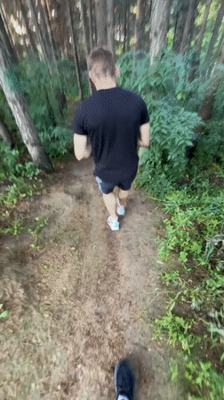 Early morning trail runners documented in wooded Varna area
