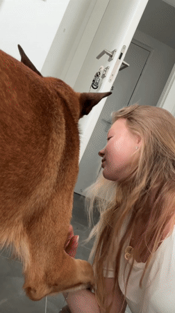 Woman plays with brown dog on floor in Ariel