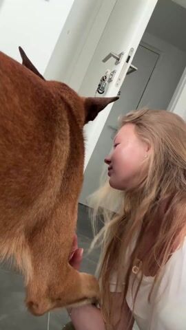 A blond woman, wearing a white t-shirt and a gold necklace, leans down and attempts to kiss a large, short-haired brown dog. The dog appears disinterested and looks away, licking its nose, before returning its gaze to the woman. The woman smiles and leans against the dog. The scene takes place indoors, near a white door with keys hanging on it. The floor is gray.