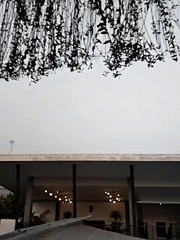 Inside and outside a Depok hotel, gardens to guest rooms