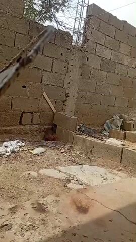 A hen is nesting in a hole at the base of a concrete block wall. The hen is brown and red, with a red comb on its head. The nesting area is surrounded by debris, including loose concrete blocks, wood scraps, and white plastic. The wall is made of large, rectangular concrete blocks, some of which appear to be cracked or damaged. A piece of wood leans against the wall, propping up a concrete block above the hen's nest. The ground is sandy and uneven, with some patches of dampness.