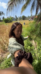 Rice harvest documented in Gianyar fields, Indonesia