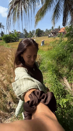 Rice harvest documented in Gianyar fields, Indonesia