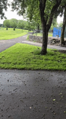 Morning park life documented in Sandwell during six-minute window