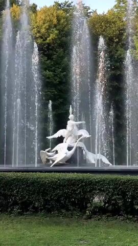 The video shows a large, elaborate fountain with multiple jets of water spraying upwards and outwards. In the center of the fountain is a white sculpture depicting a winged figure, possibly an angel or deity, riding on the backs of two swans. The swans are also white and appear to be in motion, with their wings spread. The fountain is surrounded by a low, manicured hedge, and behind the hedge is a grassy area. In the background, there are tall green trees with some autumn foliage visible. The overall scene suggests a park or garden setting. The lighting indicates it is daytime.