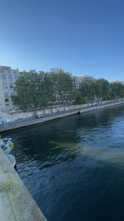 Sunny afternoon along the Seine, Eiffel Tower in view