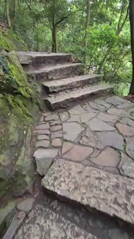 The video shows a stone path winding through a lush green forest. The path is made of irregularly shaped stones, some of which appear to be steps. Moss and vegetation grow on the rocks and along the sides of the path. The trees are tall and the canopy creates a dappled light effect. The camera appears to be moving forward along the path, giving the viewer a sense of walking through the forest. The overall atmosphere is serene and natural.