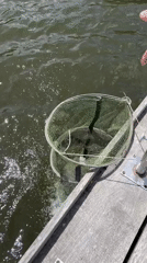 Fishing trip documented in Rudky, Ukraine includes catches and snacks