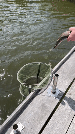 Fishing trip documented in Rudky, Ukraine includes catches and snacks