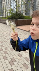 Child blows dandelions on Moscow sidewalk