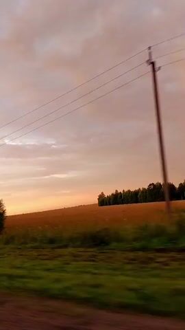 The video shows a landscape scene from a moving vehicle. The sky is a soft pink and orange, suggesting either sunrise or sunset, with some clouds visible. Power lines are strung across the upper portion of the frame. In the mid-ground, there are fields of golden-brown crops and a line of trees in the distance. In the foreground, there is a strip of green grass and a dirt road. Trees and bushes are visible along the side of the road. The camera is moving, causing a slight blur in the foreground and mid-ground, indicating a sense of motion. There are no people visible in the video.