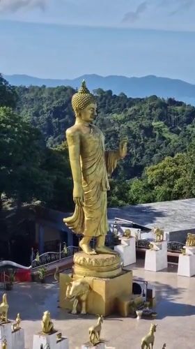 Golden Buddha statue with animal sculptures observed Ko Samui