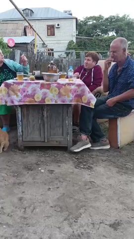 A group of people are gathered around a table outdoors. A woman in a teal jacket is gesturing with her left hand, pointing off-camera. A man in a blue and yellow jacket is crouching to her left, looking at her. To her right, a woman in a maroon hoodie is seated and looking towards the woman in teal. A man in a blue plaid shirt is seated to the right of the woman in maroon, eating something. A small, orange cat is walking on the ground in front of the table. The table is covered with a floral tablecloth and has several cups of drinks, a teapot, and a bowl on it. The background shows houses, a fence, and trees. The ground is dirt and gravel.