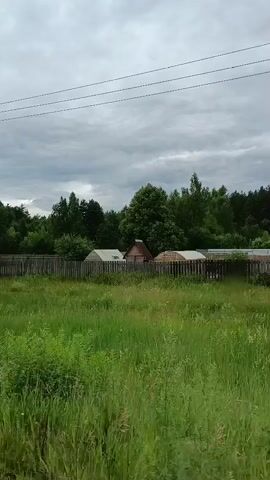 The video shows a rural scene with tall grass in the foreground and a wooden fence. Behind the fence are several small wooden structures, including a small house with a triangular roof and a greenhouse. A dense forest forms the background. The sky is overcast and appears to be cloudy. There are no people visible in the video.