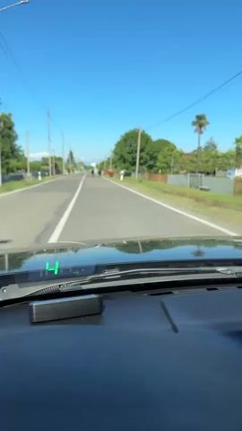 The video, filmed from inside a vehicle, shows a road with a clear blue sky overhead. Power lines are visible along the side of the road, with trees and houses in the background. Several cows are walking on or near the road. The car's dashboard is visible in the foreground, with a digital display showing a speed of 14. The car is moving forward.