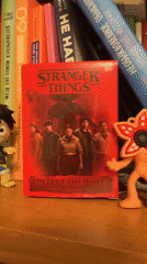 Book shelf with pop culture collectibles documented in Riga