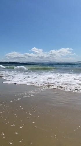 Turquoise waves and driftwood along a sunny shoreline
