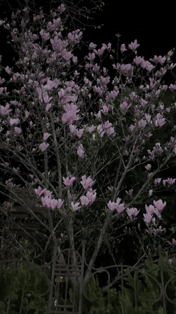 Nighttime scenes captured in Stara Zagora, Bulgaria