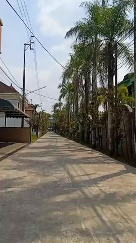 The video is a first-person perspective of someone riding a bicycle down a paved road lined with palm trees. The sun is shining, casting shadows on the road. There are houses on the left side of the road and a wall on the right side. There are power lines overhead. The road is empty except for the cyclist.