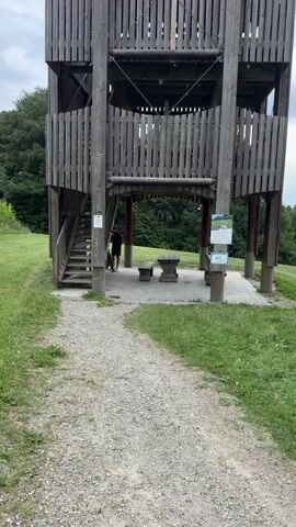 The video begins with a ground-level view of a wooden observation tower with stairs leading up one side. A person in a red shirt and dark shorts stands near the base of the tower, next to a dog on a leash. A gravel path leads away from the tower, and to the right of the path are two wooden benches and a stone table. The camera then pans up the tower, showing multiple levels with wooden railings. The view then shifts to a wide shot of a forest of evergreen trees and rolling hills under a cloudy sky. In the distance, several layers of mountains are visible. A fenced-off grassy area with a few cows can be seen in the foreground to the left of the trees. The video ends with a distant view of the mountains.