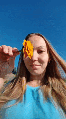 Summer morning in Чухлэм: flowers, butterflies, and blue skies