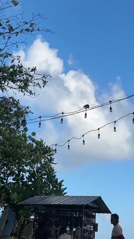The video shows a bright blue sky with fluffy white clouds. Two strings of lights with exposed bulbs are strung across the frame. On the left side, there is a large tree with green leaves and bare branches. Below the lights and to the right of the tree is a small, dark-colored structure, possibly a stall or canopy, with items displayed for sale. Three people are visible near the stall. One person, wearing a light-colored shirt, is standing on the right, facing towards the stall. Another person, wearing dark clothing, is partially visible on the left side, seemingly interacting with something in front of them. A third person, wearing a light-colored top, is standing behind the stall. The overall scene appears to be outdoors, possibly in a tropical or coastal setting due to the vegetation and the casual setup.