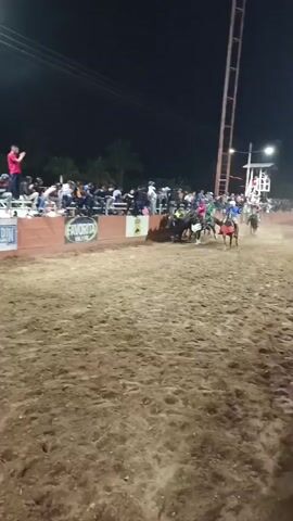 The video depicts a rodeo event at night. A bull is being chased by multiple cowboys on horseback within an arena filled with dirt. Spectators line the elevated perimeter of the arena, observing the activity. The arena is surrounded by advertisements and is illuminated by artificial lighting. Dust is kicked up by the bull and horses as they move. One of the cowboys falls off his horse during the chase.