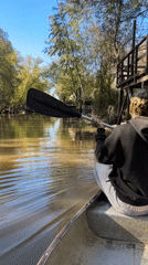 Canoe paddlers spotted on Dique Luján waterways, dog observed dockside