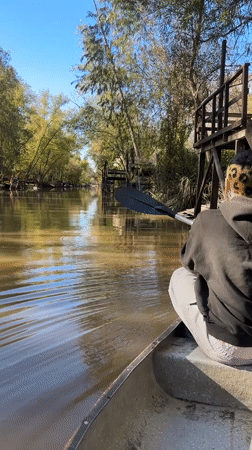 Canoe paddlers spotted on Dique Luján waterways, dog observed dockside