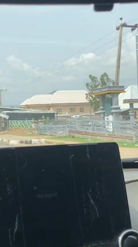Man kneels in street as witnesses record from vehicles