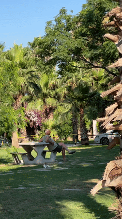 Sunny morning along Antalya's palm-lined coastal walkway