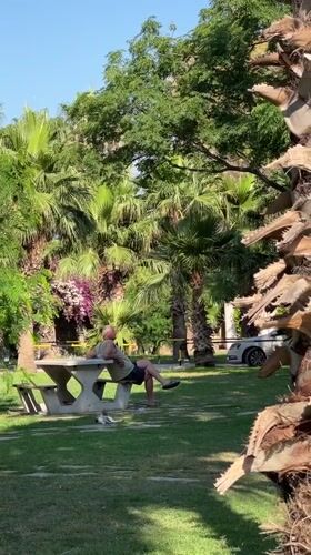 Sunny morning along Antalya's palm-lined coastal walkway