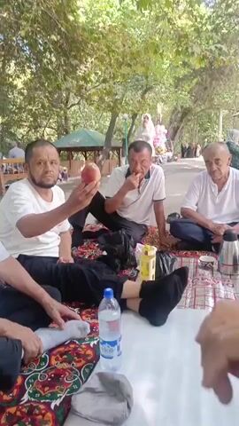 Four men are sitting on the ground, resting on blankets and a white sheet in an outdoor, shaded area with trees and foliage. The man on the far left is wearing a white t-shirt and dark pants, holding up a reddish-yellow fruit. The man next to him, in the center, is wearing a white polo shirt and dark pants, and is eating something. The man on the far right is wearing a white t-shirt and dark pants. There are water bottles, a thermos, and a yellow box on the blankets. The background shows more trees, a small gazebo-like structure, and other people walking in the distance.