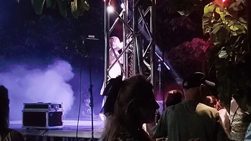 Live outdoor concert with crowd in Rustavi, Georgia