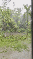 Heavy rainfall floods rural Lalmohan, Bangladesh early morning