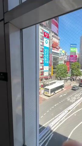 The video shows a view of the Shibuya Crossing in Tokyo, Japan from an elevated perspective, likely from a building overlooking the intersection. The camera pans from left to right. The crossing is a large scramble intersection, and when the lights change, pedestrians flood into the intersection from all directions. There are several city buses visible in the intersection, as well as a few cars and taxis. The buildings surrounding the intersection are covered in large advertising billboards. The sky is clear and blue. A window screen is visible in the foreground.