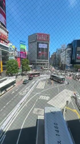 Shibuya Crossing busy with pedestrians, buses, costumed go-kart drivers
