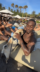 Beach day captured with dogs and beachgoers in North Kuta