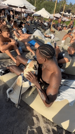 Beach day captured with dogs and beachgoers in North Kuta
