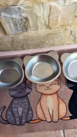 The video shows two empty cat bowls, one orange cat mat, and one black cat mat. Next, it shows a white water bowl with a black dog silhouette on it and a yellow and white tray with cat grass. The camera then zooms in on the cat grass.