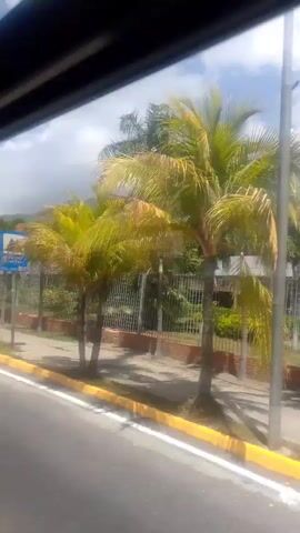 The video shows a view from a moving vehicle, likely a car or bus, looking out at a street scene. The time stamps indicate the video is very short, only a few seconds long. The scene is characterized by a sidewalk with a yellow and red striped curb, a street, and buildings in the background. There are traffic lights, street signs, palm trees, and other foliage. One sign prominently displays "CENTRO COMERCIAL LITORAL" and logos for "ZOOM" and "Western Union." Another sign has a blue background with a white arrow pointing upwards and some text. People are visible on the sidewalk and near the entrance of the commercial center. The sky is partly cloudy. The overall impression is a typical street view in a commercial area, possibly in a tropical or subtropical region given the palm trees.