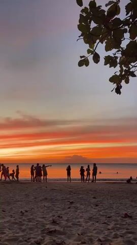 The video shows a beach scene at sunset. Silhouettes of people are visible on the sand, some walking and some standing in groups. The sky is filled with vibrant orange and pink clouds, reflecting on the ocean. A tree branch with leaves is visible in the upper right corner of the frame. The sand in the foreground appears to have some scattered leaves. The overall atmosphere is serene and picturesque, capturing the beauty of a sunset over the ocean.